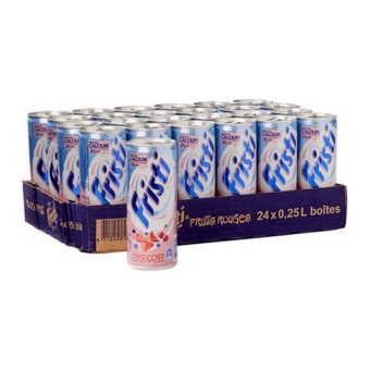 Fristi - Rood fruit - 24x 250ml