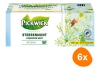 Pickwick - Herbal Sterrenmunt - 6x 100 zakjes