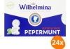 Fortuin - Wilhelmina Peppermunt Vegan - 24x 100g