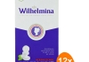 Fortuin - Wilhelmina Peppermunt Vegan - 12x 100g