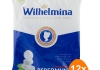 Fortuin - Wilhelmina Peppermunt Vegan - 12x 1kg
