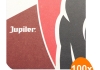 Jupiler - Bierviltjes - 100 stuks