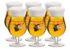 La Chouffe - Bierglas 250ml - 6 stuks