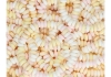 Au'some - Candy Necklaces (Snoepkettingen) - 100 stuks