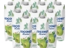 Bamboo Tree - Kokoswater - 12x 1 ltr