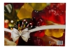 Haribo - Fruitgums Adventskalender - 515 gram