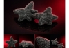 Lakritz - Drop Adventskalender - 310 gram