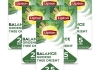 Lipton - Feel Good Selection Groene Thee Orient - 6x 25 zakjes