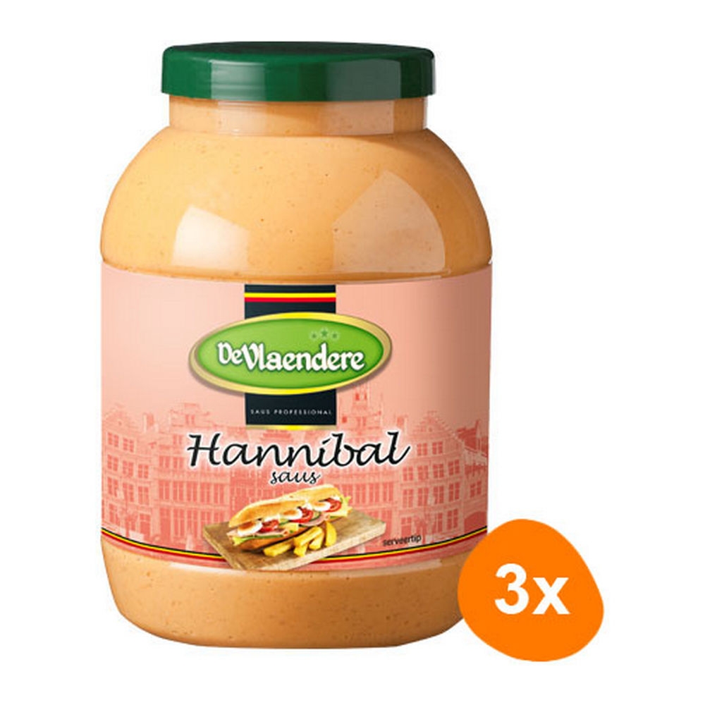 DeVlaendere Hannibalsaus 3x 3 ltr