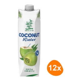 Bamboo Tree - Kokoswater - 12x 1 ltr