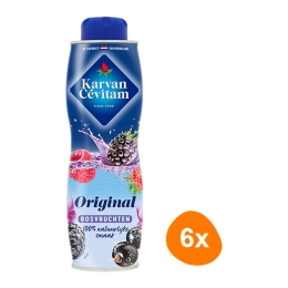  Karvan Cévitam - Bosvruchten - 6x 600ml