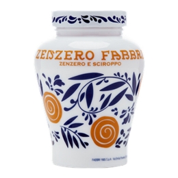 Fabbri - Zenzero Fabbri (Gember) - 600g