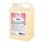 Nic - Milkshakesiroop Kokos - 2 liter