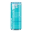 Red Bull - The Ice Edition Sugarfree Blik - 12x 250ml