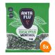 Anta Flu - Keelpastilles Eucalyptus Menthol - 5x 1kg
