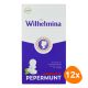 Fortuin - Wilhelmina Peppermunt Vegan - 12x 100g