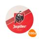 Jupiler - Bierviltjes - 100 stuks
