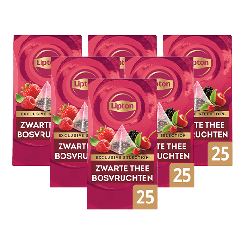 Lipton Exclusive Selection Zwarte Thee bosvruchten 6x 25 zakjes